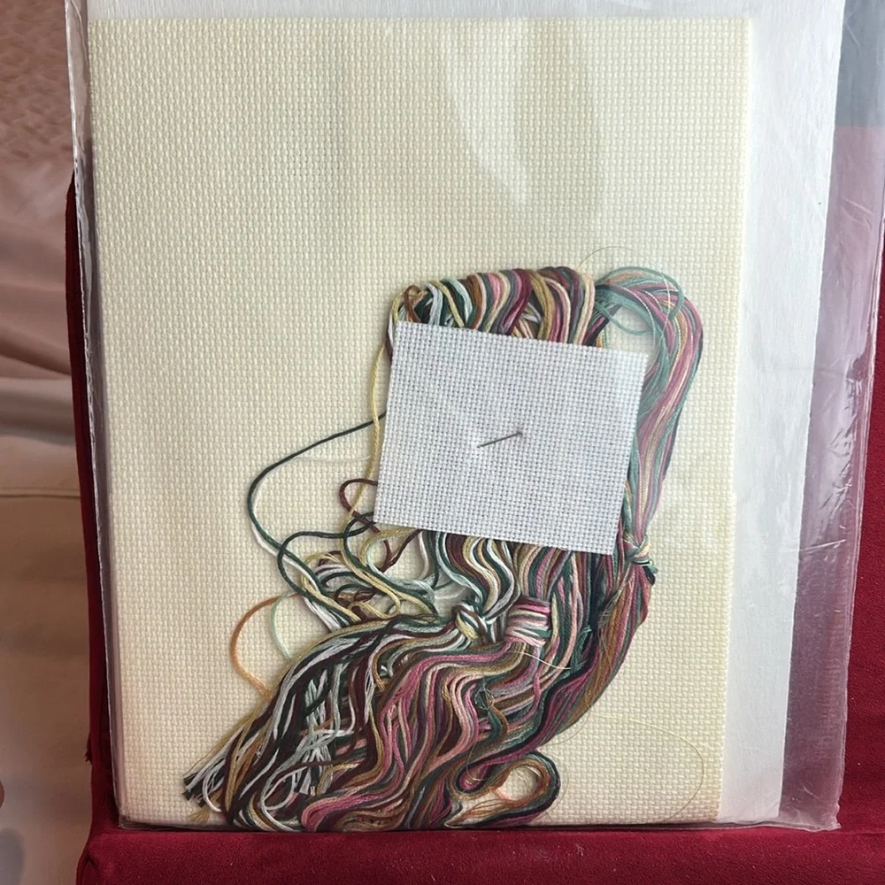 Vintage Janlynn Christmas Cross Stitch Kit Dear Santa Letter #77-628 NIP 1993